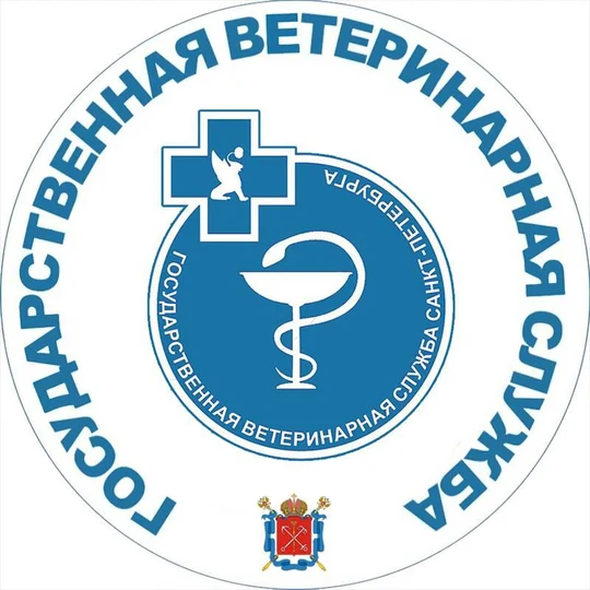 81971e9a-b64a-44a3-8841-fe1c27ccb27c-2f0a4f7a6d261e0e47f181428c9b43a4.jpg